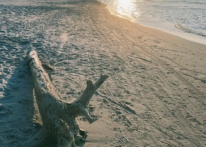 Leniviec 度假居 *