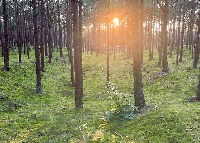 Leniviec 度假居 *